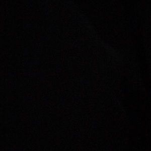 Meet your Posher, Jazmine